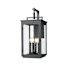 Z-Lite Hartwell 4 Light 24" Tall Outdoor Wall Sconce with Seedy Glass Panels Sand Black