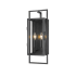 Z-Lite Lucian 2 Light 22" Tall Outdoor Wall Sconce Black