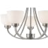 443-5 in Brushed Nickel