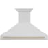 ZLINE Autograph Edition 280 - 700 CFM 48 Inch Wide Outdoor Wall Mounted Range Hood with Cosmetic Handle and LED Lights Stainless Steel / Champagne Bronze