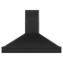 ZLINE 280 - 700 CFM 48 Inch Wide Outdoor Wall Mounted Range Hood with 4 Fan Speeds and 4 LED Lights Black Stainless Steel