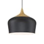 Access Lighting Blend 12" Wide Wood Pendant Black