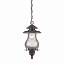 Acclaim Lighting Blue Ridge 1 Light Outdoor Lantern Pendant Architectural Bronze