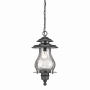 Acclaim Lighting Blue Ridge 1 Light Outdoor Lantern Pendant Matte Black