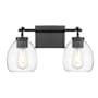 Acclaim Lighting Dawes 2 Light 16" Wide Vanity Light with Clear Glass Shades Matte Black