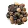 Ackland Rivora Polished Marble Landscaping Rock Pebbles, 1-2 in. - Sold by Pallet (27.5 CF/Pallet) Elemental Blend