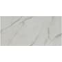 Ackland Zola - 12" x 24" Porcelain Solid Floor and Wall Tile - Matte Visual - Sold by Pallet (576 SF/Pallet) Aurum