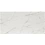 Ackland Zola - 24" x 48" Porcelain Solid Floor and Wall Tile - Matte Visual - Sold by Carton (16 SF/Carton) Aurum