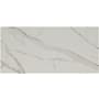 Ackland Zola - 12" x 24" Porcelain Solid Floor and Wall Tile - Matte Visual - Sold by Carton (12 SF/Carton) Delia