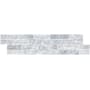 Ackland Celestine 6 in. x 24 in. Splitface Marble Stacked Stone Ledger Panel Wall Tile - Sold by Pallet (240 SF/Pallet) Fog
