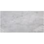 Ackland 12" x 25" Marble Solid Floor and Wall Tile - Polished Visual - Sold by Carton (10 SF/Carton) Castella Cambria