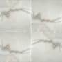 Ackland 12" x 12" Marble Solid Floor and Wall Tile - Honed Visual - Sold by Carton (10 SF/Carton) Calacatta Gold