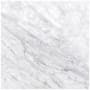 Ackland 12" x 12" Marble Solid Floor and Wall Tile - Honed Visual - Sold by Carton (10 SF/Carton) Carrara White