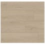Ackland Parkland 9" x 60" Embossed Vinyl Flooring with Low Gloss - Sold by Carton (18.7 SF/Carton) Cresenta