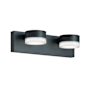 AFX Emma 2 Light 16" Wide Vanity Light Black