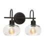 AFX Laney 2 Light 15" Wide Vanity Light Black