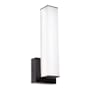 AFX Tad 14" Tall LED Wall Sconce Black