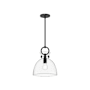Alora Lighting Waldo 11" Wide Pendant Matte Black / Clear Glass