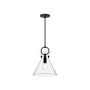 Alora Lighting Emerson 11" Wide Pendant Matte Black / Clear Glass