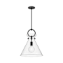 Alora Lighting Emerson 14" Wide Pendant Matte Black / Clear Glass