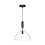 Alora Lighting Belleview 12" Wide Pendant with Clear Glass Shade Matte Black