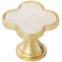 Amerock Accents 1-1/4 Inch Designer Cabinet Knob - Pack of 2 Gold / Mother of Pearl