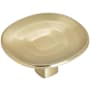 Amerock Concentric 1-9/16 Inch Mushroom Cabinet Knob Golden Champagne