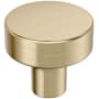 Amerock Merced 1-1/4 Inch Round Cabinet Knob Golden Champagne