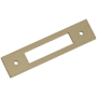 Amerock Medora 5" Backplate for 3-3/4" Center to Center Cabinet Pulls Golden Champagne