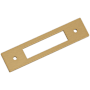 Amerock Medora 5" Backplate for 3-3/4" Center to Center Cabinet Pulls Champagne Bronze