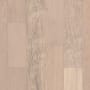 Anderson Tuftex Sample Only of AA839 Macaroon