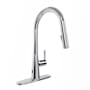 Anzzi 1.8 GPM Single Hole Pull Down Kitchen Faucet - Includes Escutcheon Polished Chrome