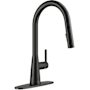 Anzzi 1.8 GPM Single Hole Pull Down Kitchen Faucet - Includes Escutcheon Matte Black