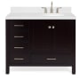 Ariel Cambridge 43" Free Standing Single Basin Vanity Set with Cabinet and Quartz Vanity Top Espresso
