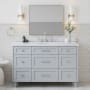 Ariel Monroe 54-1/4" Free Standing Single Basin Vanity Set with Cabinet and Quartz Vanity Top Grey