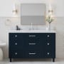 Ariel Monroe 54" Free Standing Single Basin Vanity Set with Cabinet and Quartz Vanity Top Midnight Blue