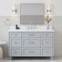 Ariel Monroe 54" Free Standing Single Basin Vanity Set with Cabinet and Quartz Vanity Top Grey