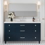 Ariel Monroe 60" Free Standing Single Basin Vanity Set with Cabinet and Quartz Vanity Top Midnight Blue