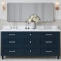 Ariel Monroe 72" Free Standing Double Basin Vanity Set with Cabinet and Quartz Vanity Top Midnight Blue