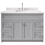 Ariel Hamlet 48" Free Standing Single Basin Vanity Set with Cabinet and Quartz Vanity Top Grey