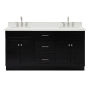 Ariel Hamlet 67" Free Standing Double Basin Vanity Set with Cabinet and Quartz Vanity Top Black