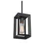 Artcraft Lighting Vineyard 5" Wide Mini Pendant Matte Black