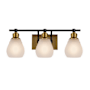 Artcraft Lighting Nelson 3 Light 22" Wide Vanity Light Brass / Black / Clear