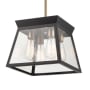 Artcraft Lighting Lucian 4 Light 12" Wide Pendant Black / Brushed Brass