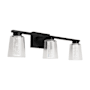 Artcraft Lighting Dalton 3 Light 24" Wide Vanity Light Black / Clear