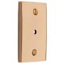 Ashley Norton Solid Brass Fleur-de-lis Rectangular Cabinet Knob Backplate Unlacquered Brass