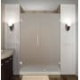 Aston Nautis 43" Wide x 72" High Frameless Hinged Shower Door with Frosted Glass Stainless Steel