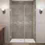 Aston Nautis GS 47" Wide x 72" High Frameless Hinged Shower Door with Clear Glass and Glass Shelves Stainless Steel