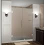 Aston Nautis GS 54" Wide x 72" High Frameless Hinged Shower Door with Frosted Glass and Glass Shelves Stainless Steel