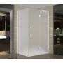 Aston 72" High x 33" Wide x 34" Deep Hinged Frameless Shower Enclosure with Frosted Glass and a Two Tiered Shelving System Stainless Steel